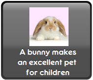 Bunies as children's pets